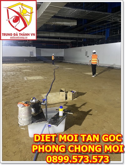 xử lý mối nền móng công trình xây dựng tại Tam Kỳ