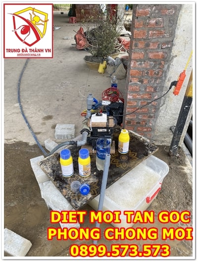 Thuốc diệt mối sinh học sử dụng trong công trình