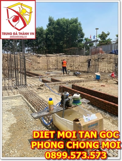 phong chong moi hoi an