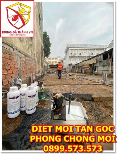 thuoc diet moi hoi an