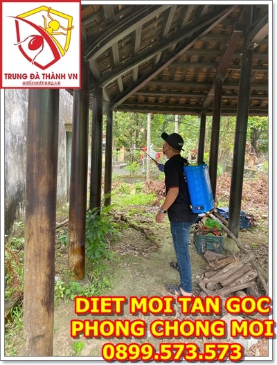 diet moi nha co hoi an